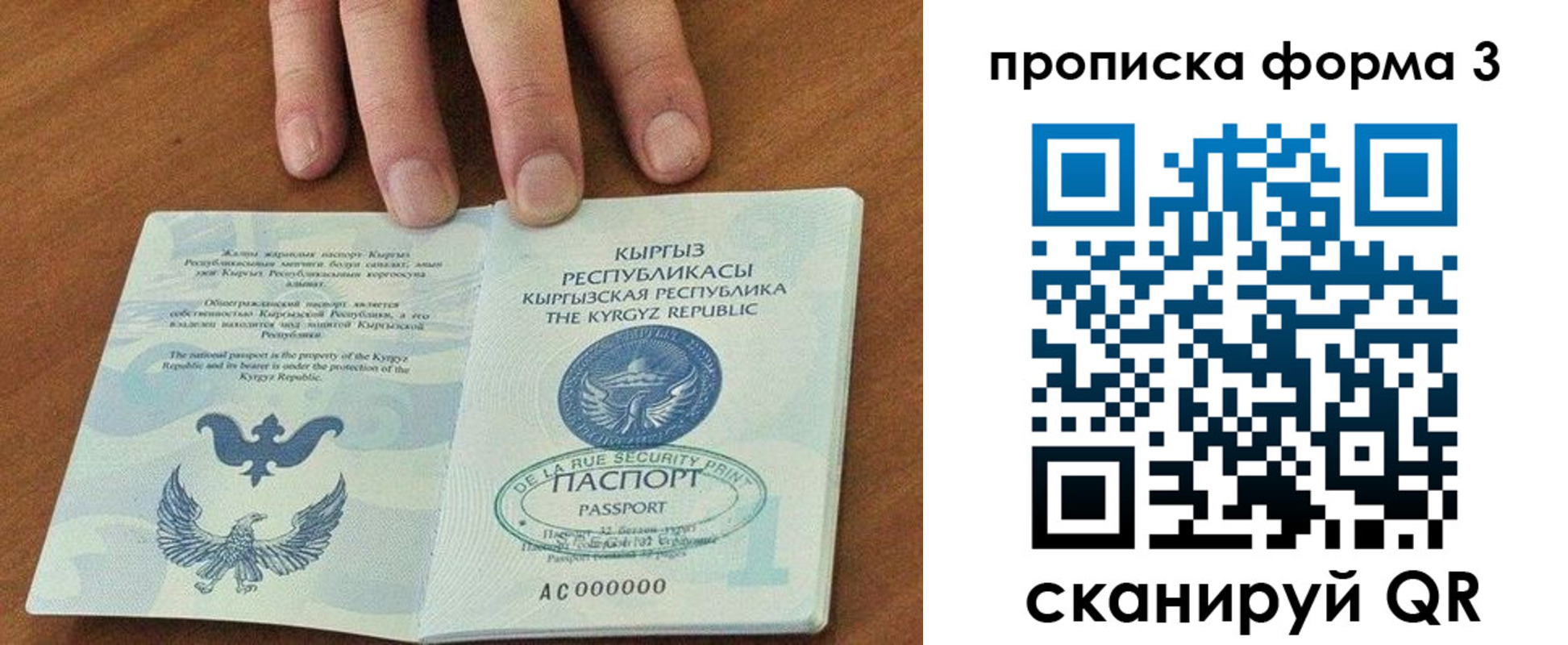 прописка 2025 в Новороссийске